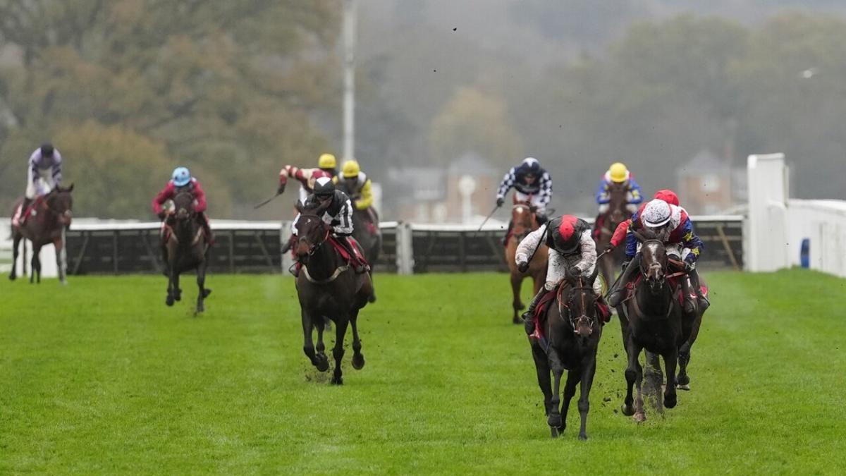 Ascot horse racing where Alan is backing a 64/1 treble